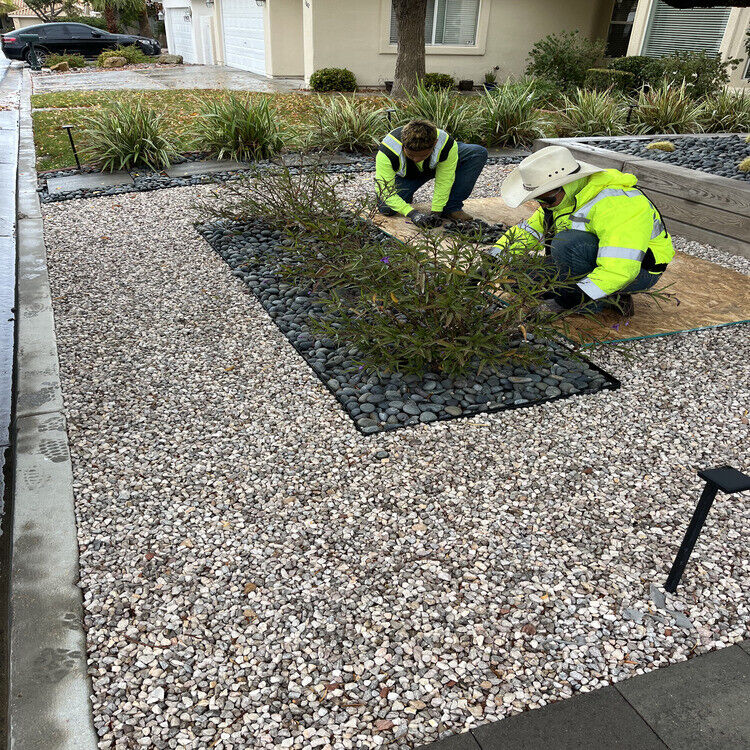 Landscaping in Las Vegas, NV