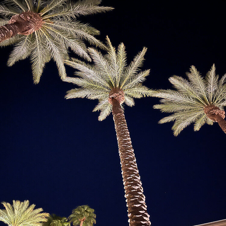 Landscaping in Las Vegas, NV