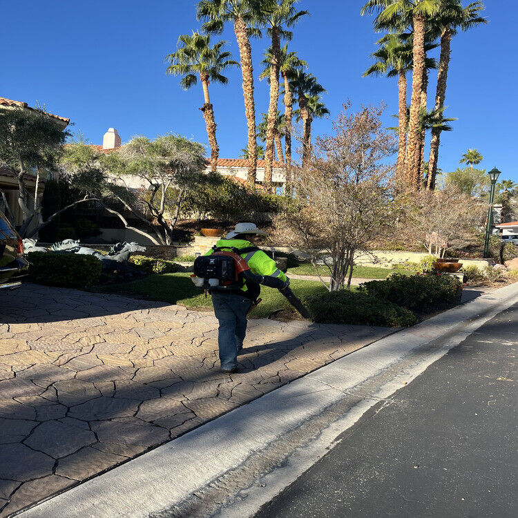 Landscaping in Las Vegas, NV