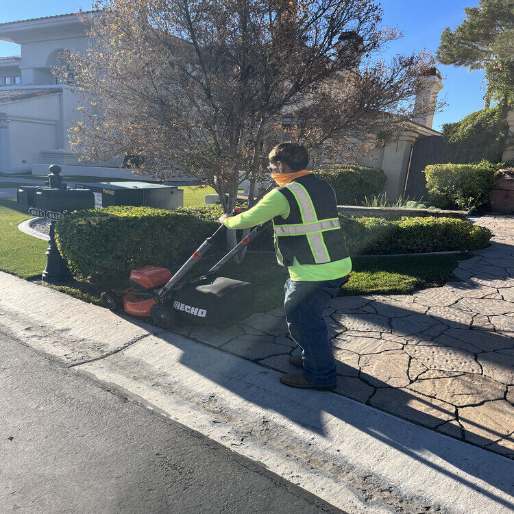 Landscaping in Las Vegas, NV