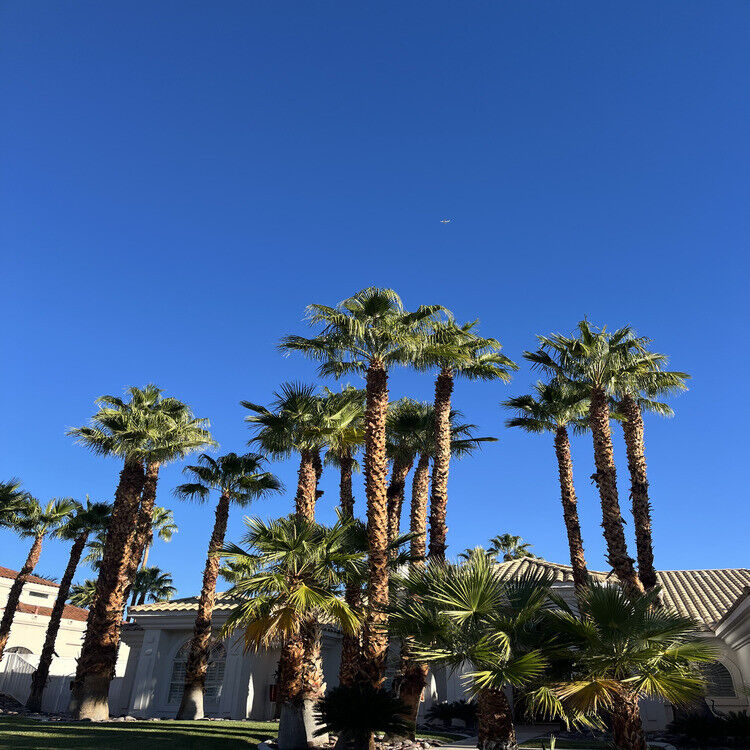 Landscaping in Las Vegas, NV Landscaping in Las Vegas, NV