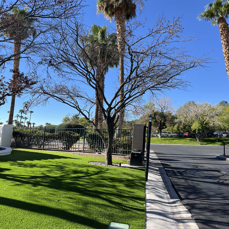 Landscaping in Las Vegas, NV