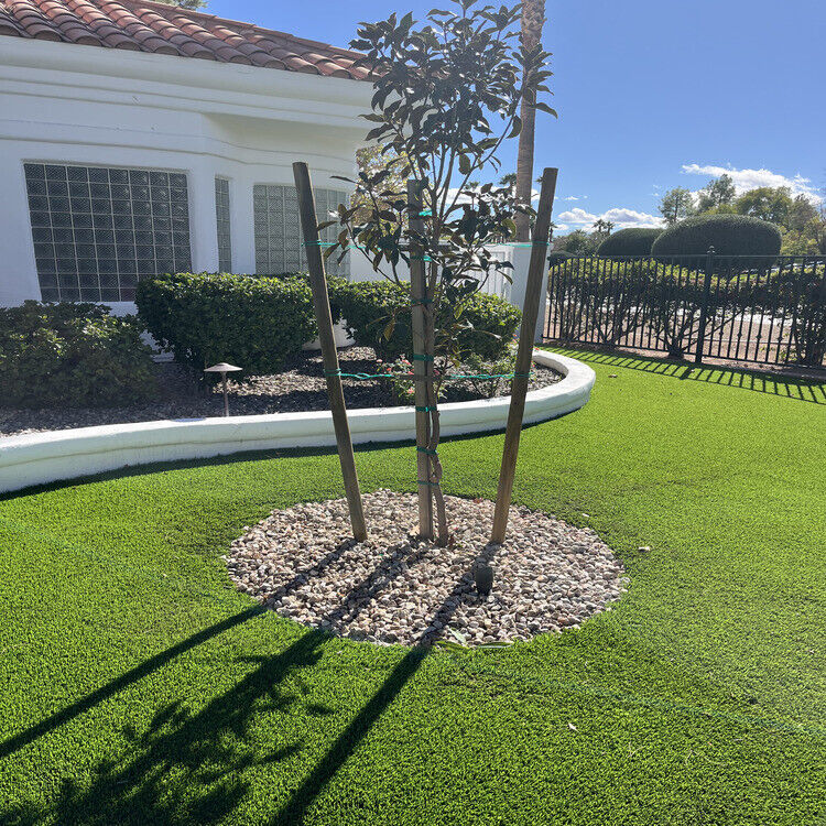 Landscaping in Las Vegas, NV